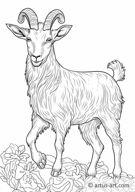 Рисунок коза раскраска (45 фото)